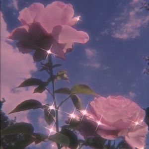 Meet your Posher, Fabiana